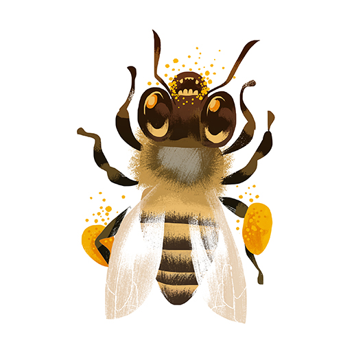 Zeichnung Biene mit Pollen