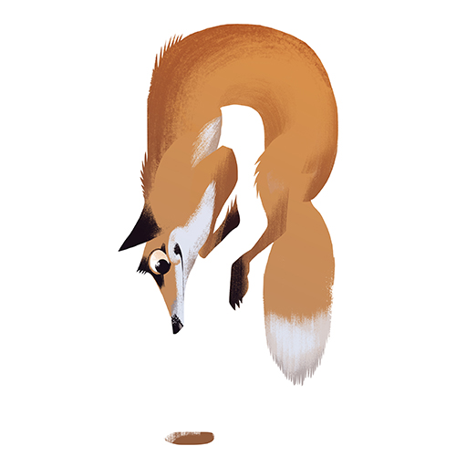 Zeichnung springender Fuchs