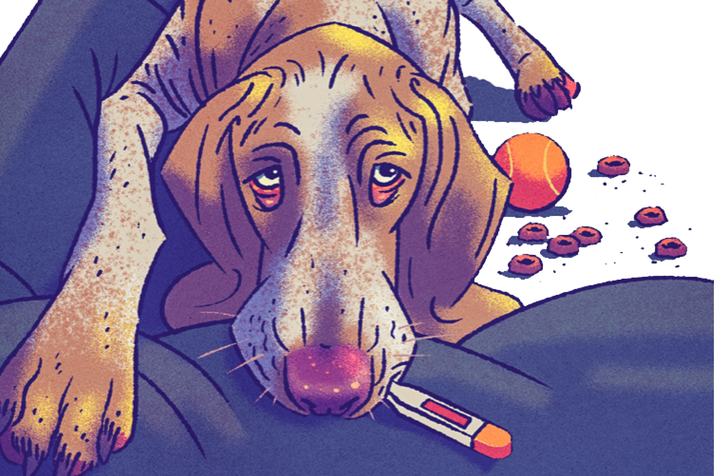 Illustration: Ein kranker Hund hat ein Fieberthermometer im Mund