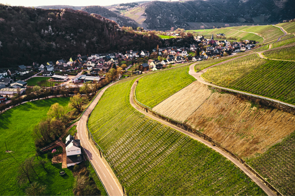 Eine Drohnenaufnahme zeigt die hügelige Landschaft der Weinberge Rheinland-Pfalz'.